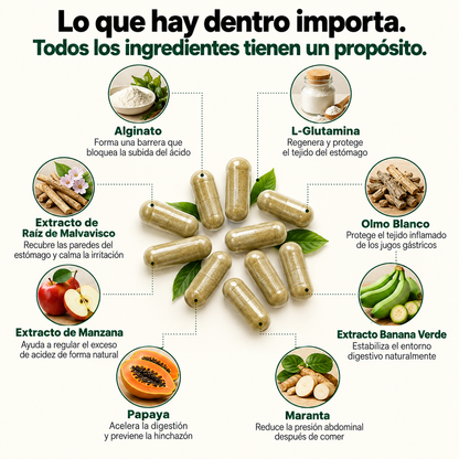 Velaris® - Recuperá tu bienestar y volvé a disfrutar de tus comidas .....
